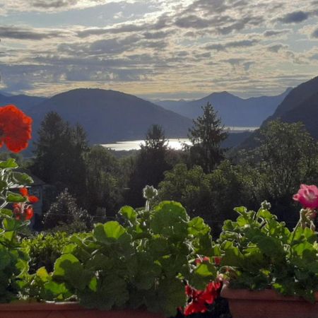 B&B Al Mutpron Casale Corte Cerro 外观 照片
