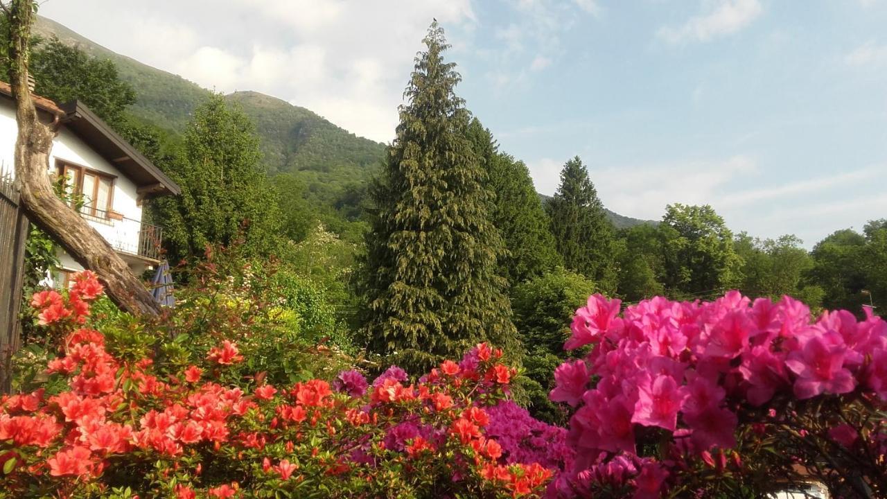 B&B Al Mutpron Casale Corte Cerro 外观 照片