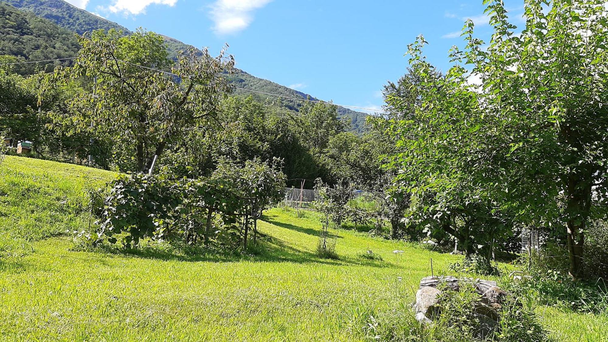 B&B Al Mutpron Casale Corte Cerro 外观 照片