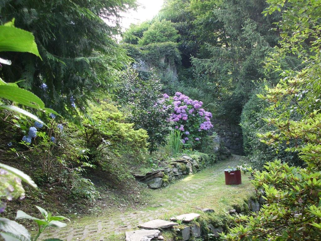 B&B Al Mutpron Casale Corte Cerro 外观 照片