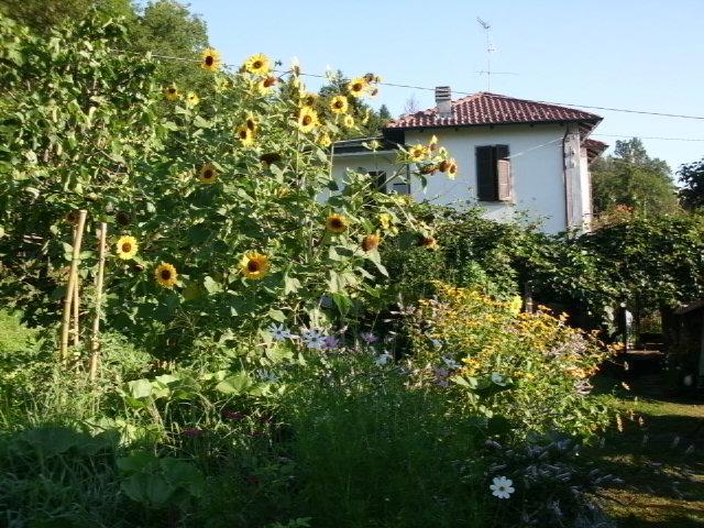 B&B Al Mutpron Casale Corte Cerro 外观 照片