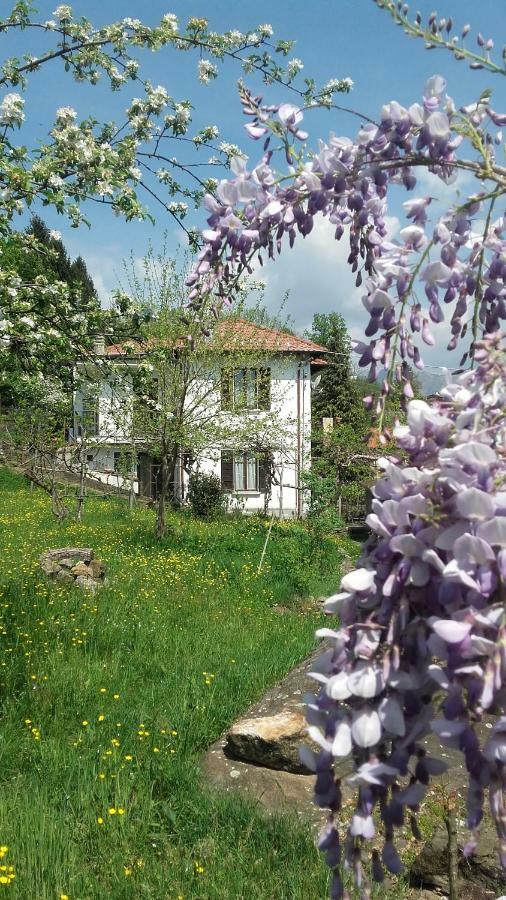 B&B Al Mutpron Casale Corte Cerro 外观 照片